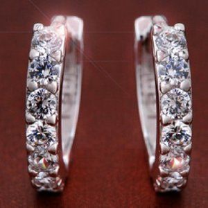 Fully sterling silver earrings ZBGJZB00075